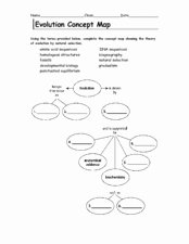 Types Of Natural Selection Worksheet Beautiful Evolution Concept Map 6th 9th Grade Worksheet