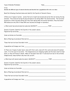 Types Of Natural Selection Worksheet Best Of Darwin S Natural Selection Worksheet
