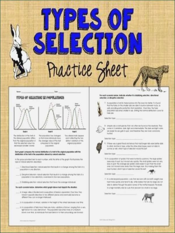 50 Types Of Natural Selection Worksheet