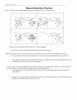 Types Of Natural Selection Worksheet Luxury Natural Selection Worksheet 1 Summer Research Program for