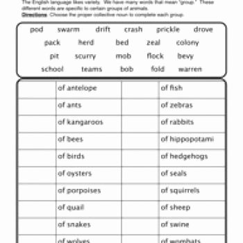 Types Of Nouns Worksheet New Collective Nouns Nouns Worksheet 2