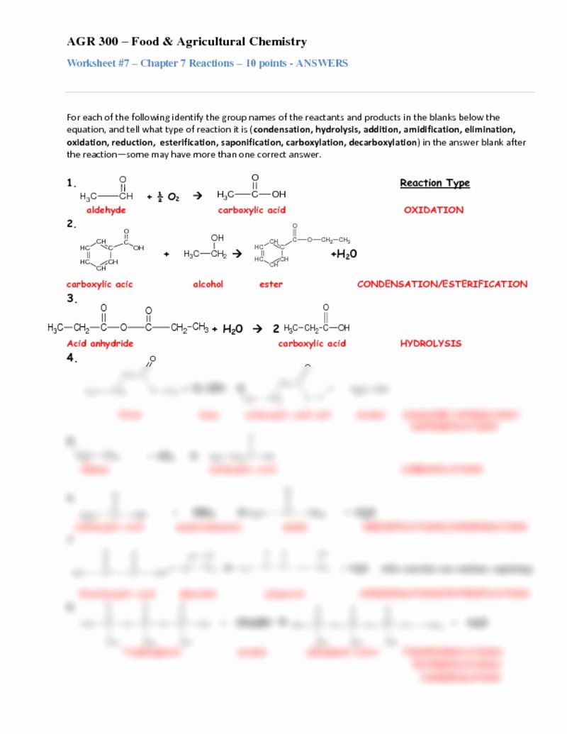Types Of Reactions Worksheet Answers Luxury Agr 300 Worksheet 7 Chapter 6 and 7 Reactions