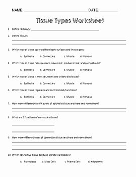 Types Of Tissues Worksheet Awesome Tissue Types Worksheet by Simply Stem
