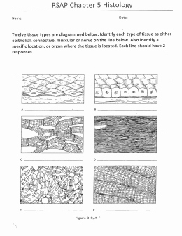Types Of Tissues Worksheet Lovely Chapter 4 Homework Packet