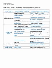 Types Of Tissues Worksheet Lovely Excel 16 Studyguide Spg You Can Filter the Pivottable