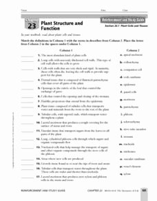 Types Of Tissues Worksheet Unique Plant Cells and Tissues 9th Higher Ed Worksheet
