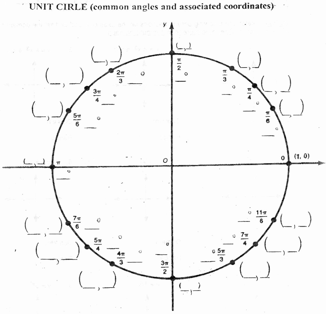 50 Unit Circle Worksheet With Answers