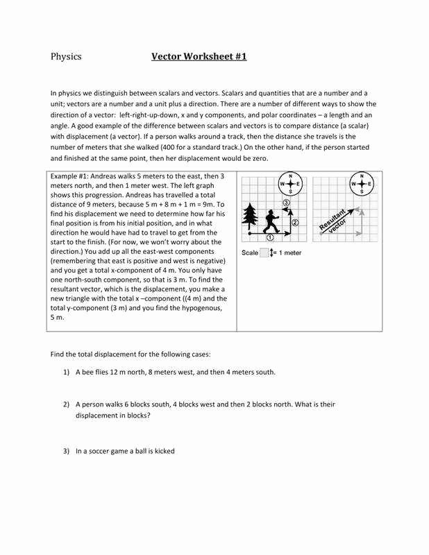 Vector Worksheet Physics Answers Beautiful Capitalization Worksheet