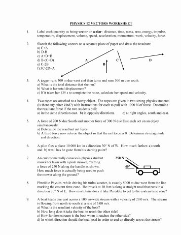 Vector Worksheet Physics Answers Inspirational Worksheet E Answer Key Vector Review and Electrostatics