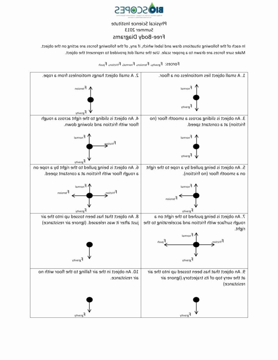 Vector Worksheet Physics Answers Lovely Physics Vector Worksheet Answer Key No 2