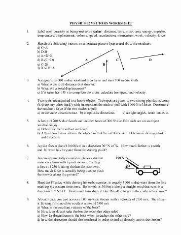 Vectors Worksheet with Answers Lovely Vector Worksheet