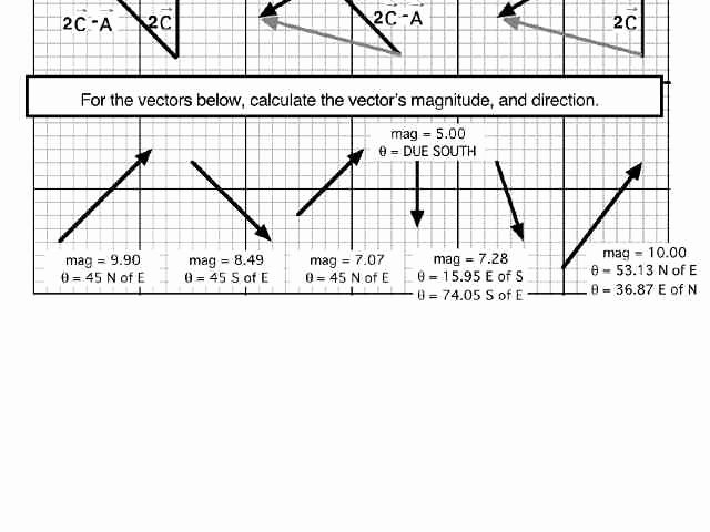 Vectors Worksheet with Answers Lovely Vectors Worksheet Answers