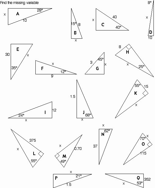 Vectors Worksheet with Answers Luxury Ahs Vectors and Trig Worksheets