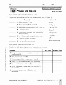 Virus and Bacteria Worksheet Answers Beautiful Viruses and Bacteria Worksheet for 9th 11th Grade