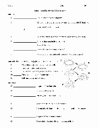 Virus and Bacteria Worksheet Answers Fresh Number Worksheet Category Page 59 Worksheeto