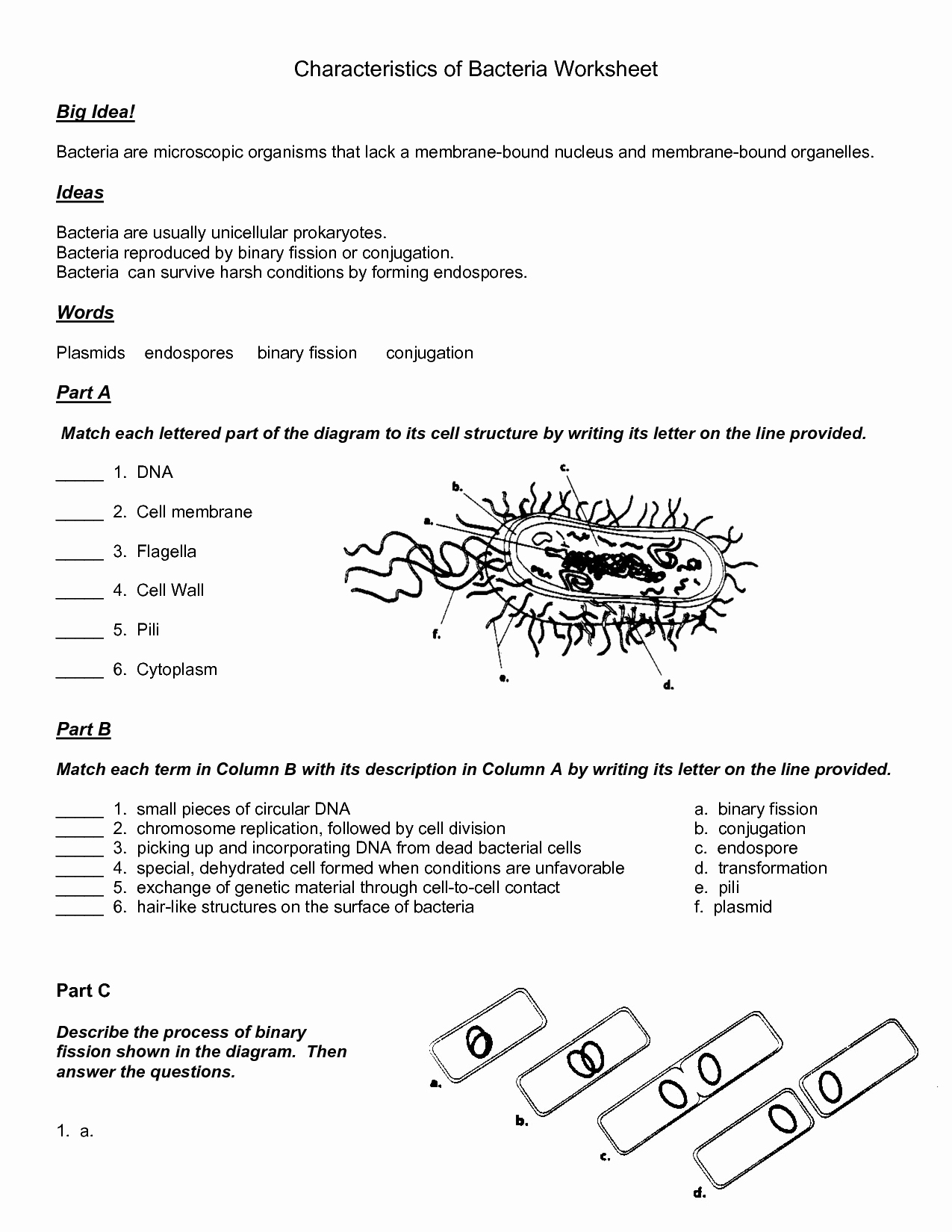 Virus and Bacteria Worksheet Answers Lovely 14 Best Of Viruses and Bacteria Worksheets
