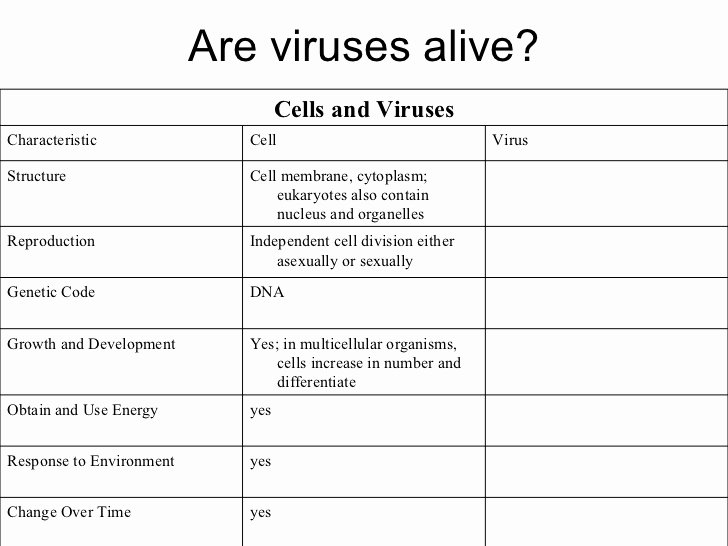 Virus and Bacteria Worksheet Answers Lovely Biology Chp 19 Bacteria and Viruses Powerpoint