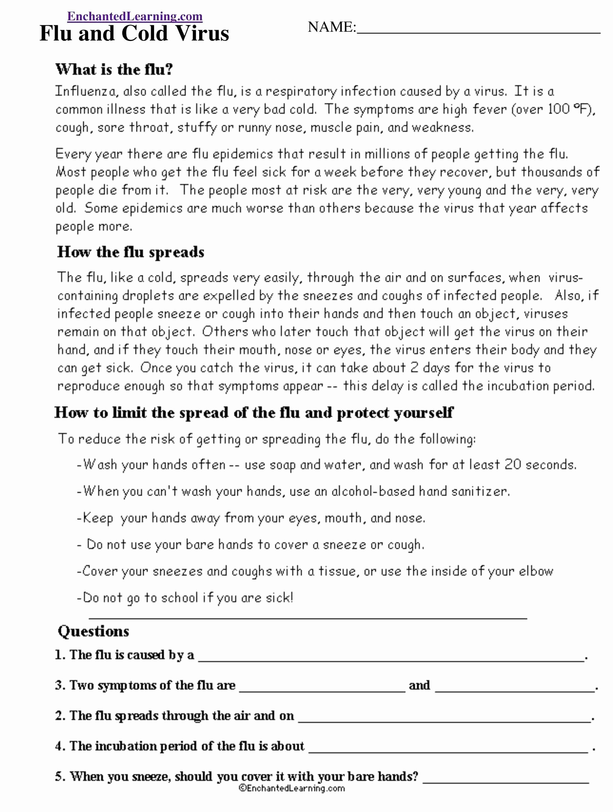 Virus and Bacteria Worksheet Answers Lovely Flu and Cold Virus Read and Answer Worksheet