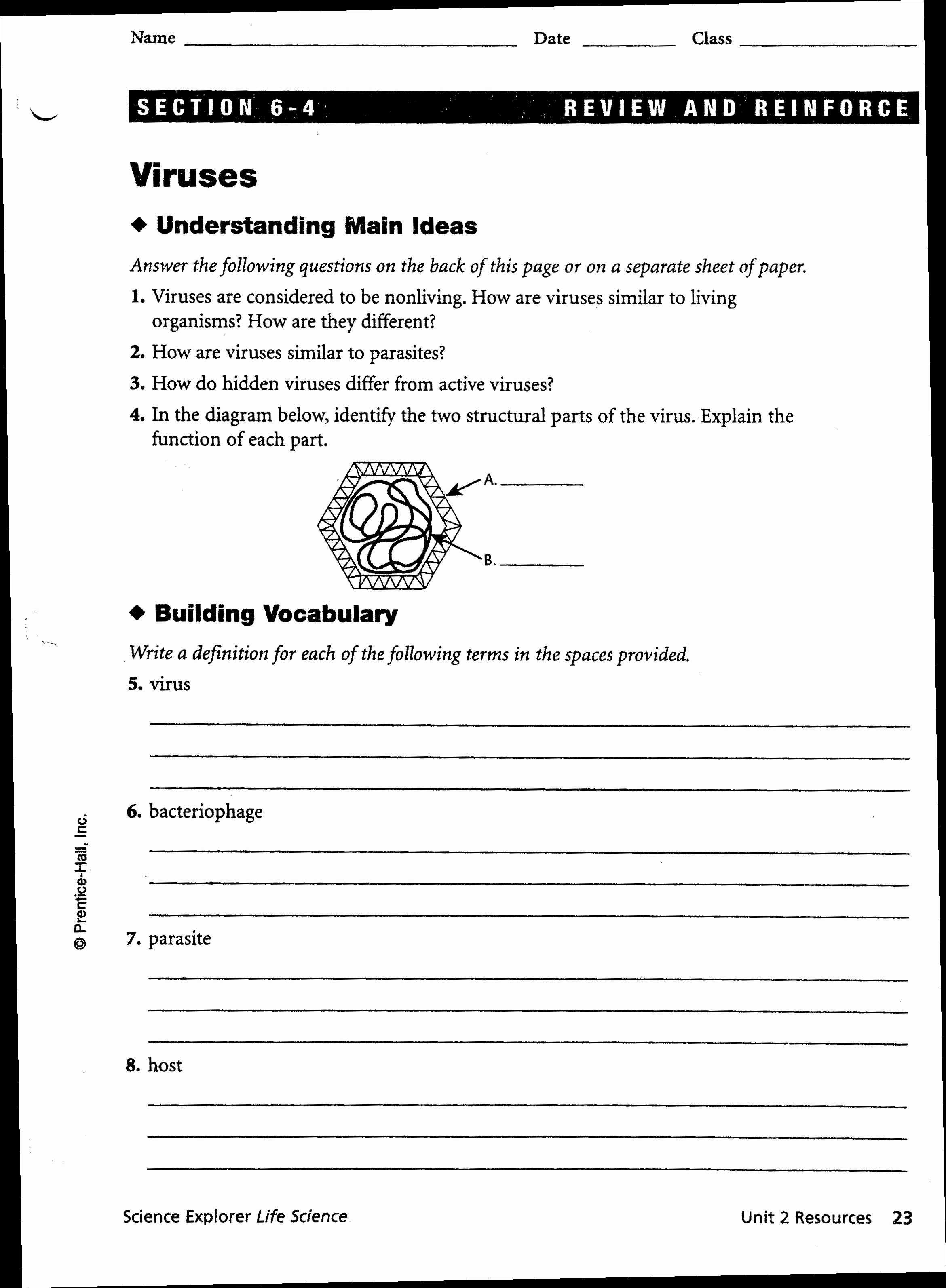 Virus and Bacteria Worksheet Answers New Pin On Worksheets