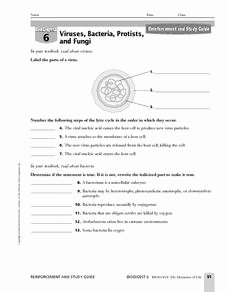 Virus and Bacteria Worksheet Answers New Viruses Bacteria Protists and Fungi 9th Higher Ed