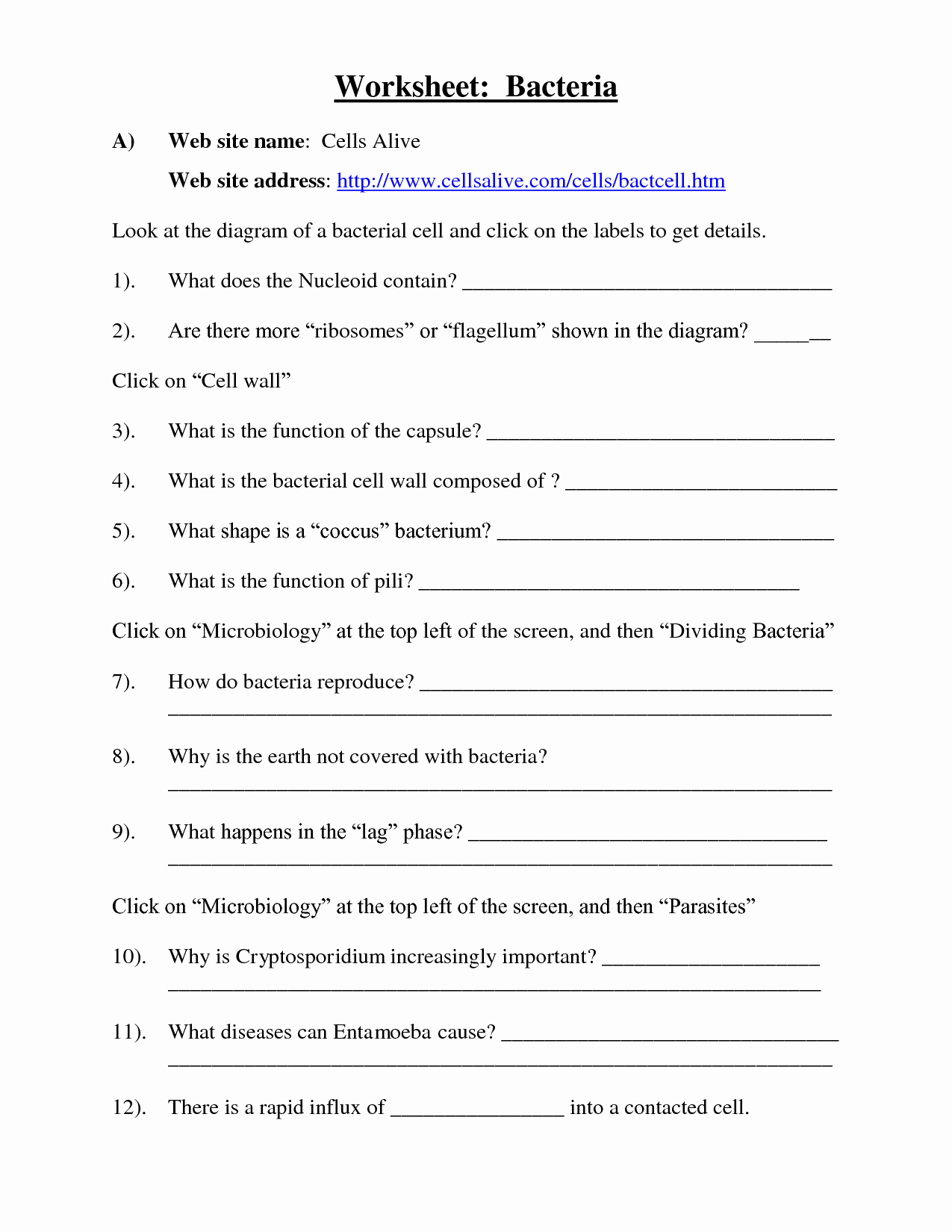 Virus and Bacteria Worksheet Answers Unique 14 Best Of Viruses and Bacteria Worksheets