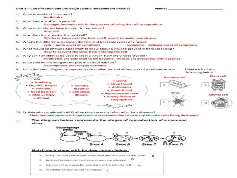Virus and Bacteria Worksheet Answers Unique Virus and Bacteria Worksheet Answers Free Printable
