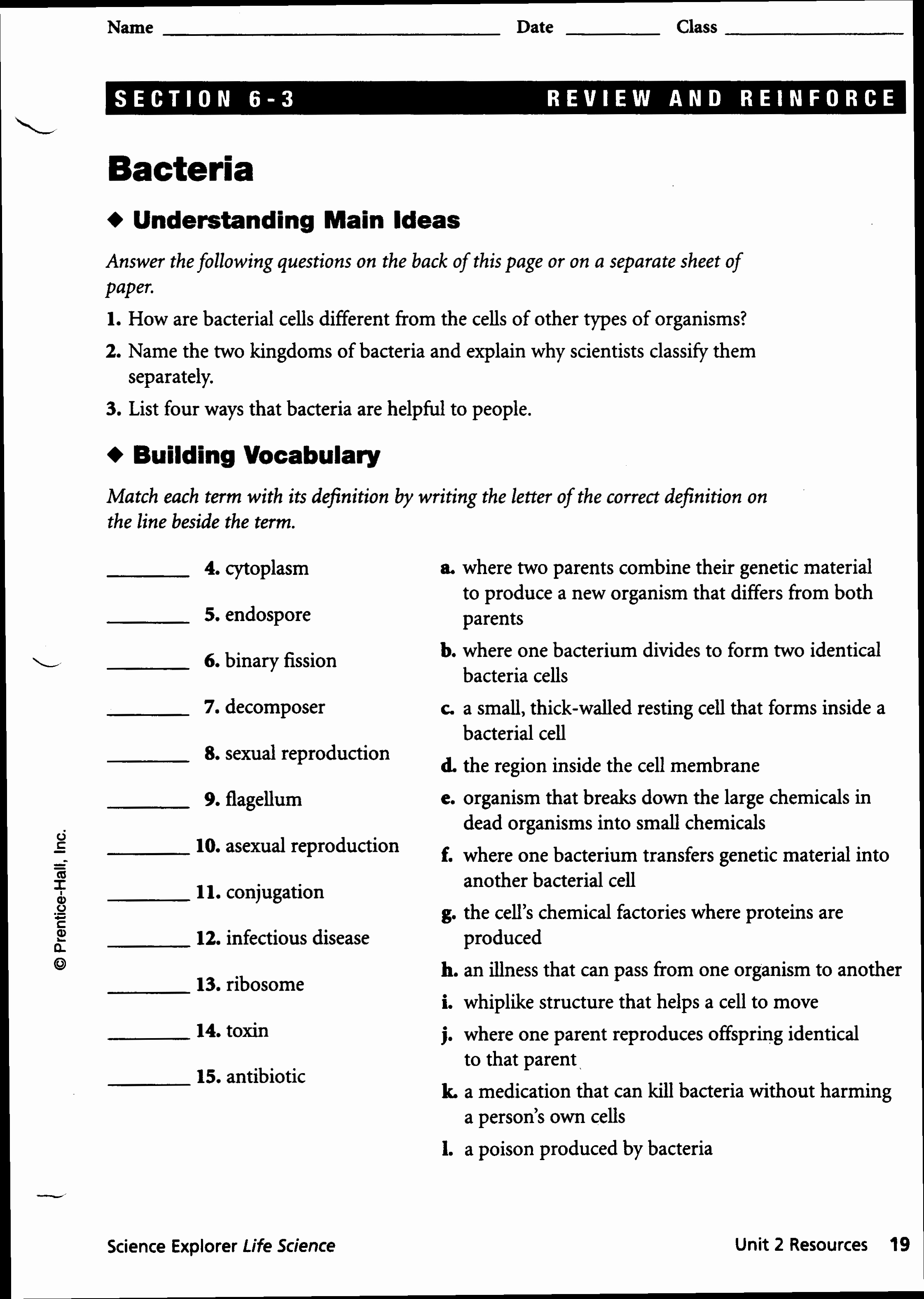 Virus and Bacteria Worksheet Answers Unique Worksheets Bacteria and Viruses Worksheet Worksheets