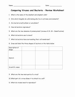 Virus and Bacteria Worksheet Awesome Chapter 18 Bacteria and Viruses