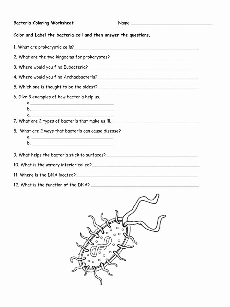 Virus and Bacteria Worksheet Awesome Virus and Bacteria Worksheet the Best Worksheets Image