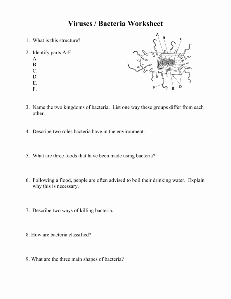 Virus and Bacteria Worksheet Awesome Worksheet Virus and Bacteria Worksheet Grass Fedjp