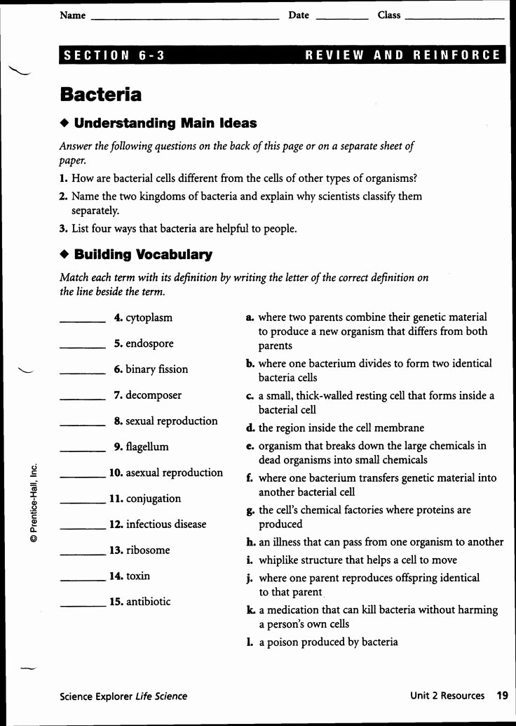 Virus and Bacteria Worksheet Awesome Worksheets Bacteria and Viruses Worksheet Worksheets