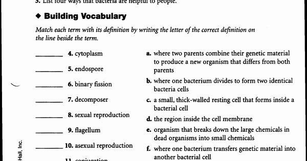 Virus and Bacteria Worksheet Best Of Worksheets Bacteria and Viruses Worksheet Worksheets