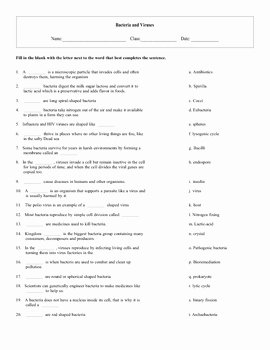 Virus and Bacteria Worksheet Fresh Bacteria and Viruses Matching Pair Puzzle with Key by
