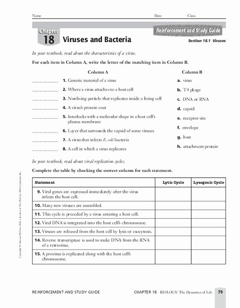 Virus and Bacteria Worksheet Key New Viruses and Bacteria Worksheet for 9th 11th Grade