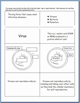 Virus and Bacteria Worksheet Luxury Infectious Diseases Unit Flash Cards Virus Bacteria