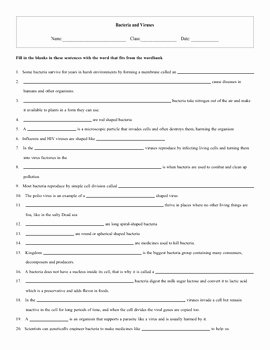 Viruses and Bacteria Worksheet Awesome Bacteria and Viruses Vocabulary Study Guide with Key by