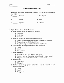 Viruses and Bacteria Worksheet Awesome Chapter 18 Bacteria and Viruses Worksheet