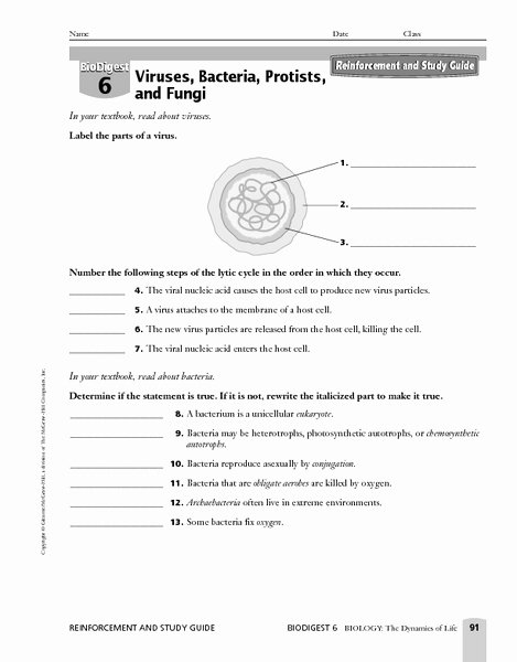 Viruses and Bacteria Worksheet Awesome Protist Lesson Plans &amp; Worksheets