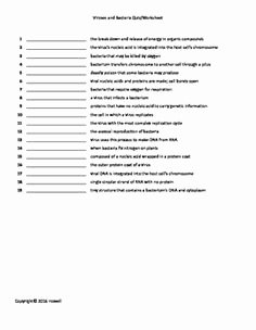 Viruses and Bacteria Worksheet Awesome Worksheets Bacteria and Viruses Worksheet Worksheets