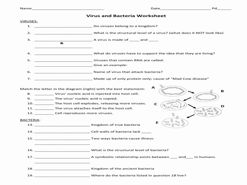 Viruses and Bacteria Worksheet Elegant 1 C257fae1c42d6d4550fb3630d7b63c3e Free