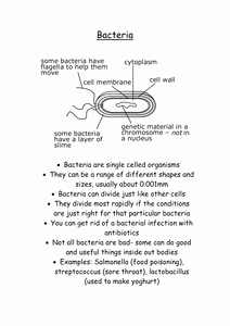 Viruses and Bacteria Worksheet Elegant Introduction to Bacteria Viruses and Fungi by Jazzibell
