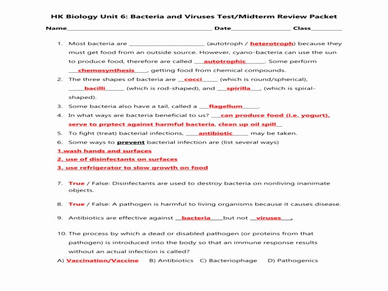 Viruses and Bacteria Worksheet Fresh Unit 6 Bacteria Nd Viruses Review Sheet Honors Answer Key