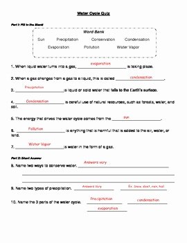 Water Cycle Worksheet Answer Key Awesome Water Cycle Study Guide Quiz and Answer Key by the