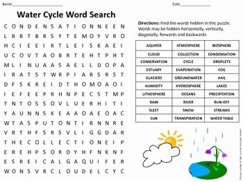 Water Cycle Worksheet Answer Key Elegant Water Cycle Vocabulary Word Search W Answer Key