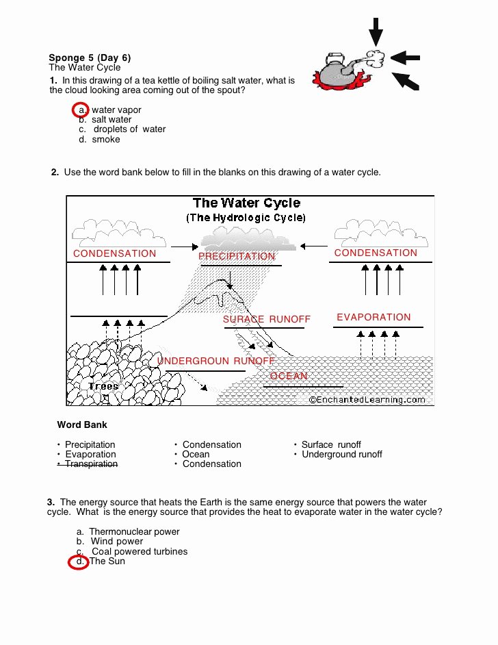 Water Cycle Worksheet Answer Key Lovely Water Cycle Worksheet S Swers