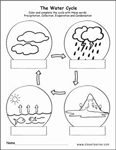 Water Cycle Worksheet Middle School Awesome 7 Mejores Imágenes De Water Cycle Worksheets
