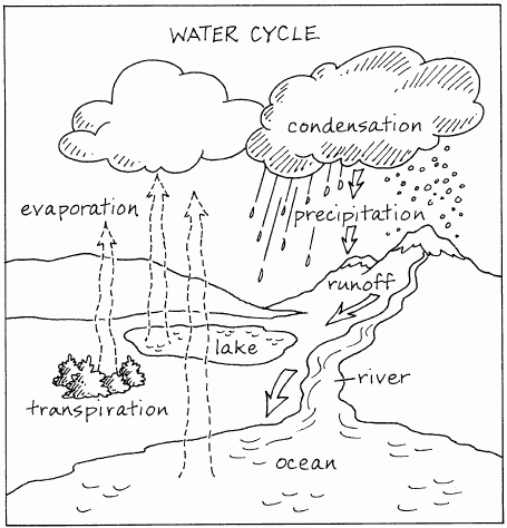 Water Cycle Worksheet Middle School Awesome the Hydrologic Cycle Sped Class