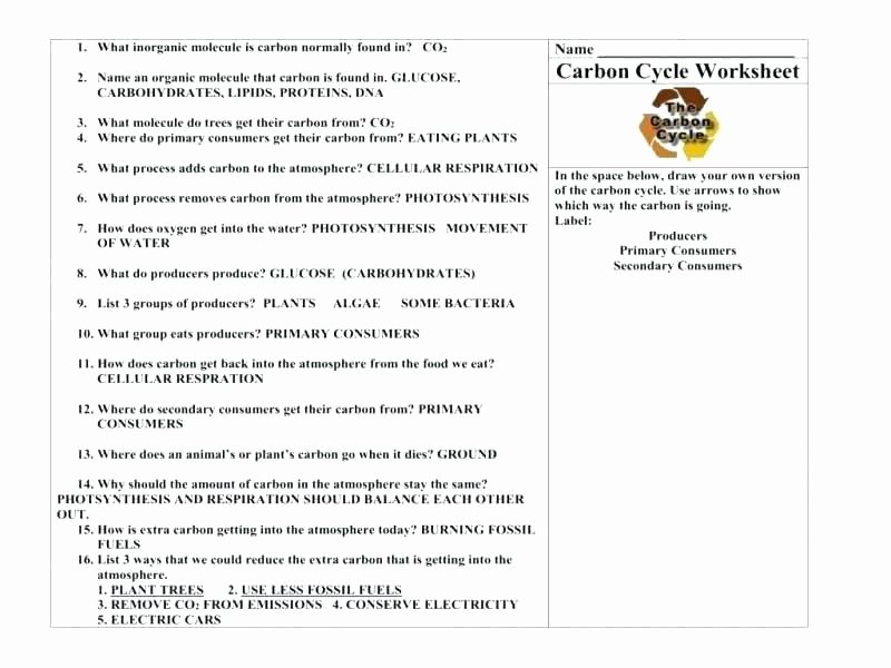 Water Cycle Worksheet Middle School Fresh Free Printable Water Cycle Worksheets Coloring Book Cycles