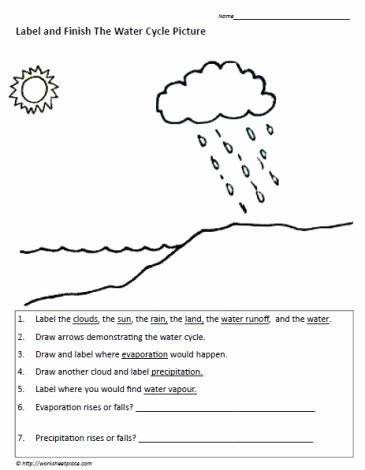 Water Cycle Worksheet Middle School Lovely Water Cycle Worksheets Science