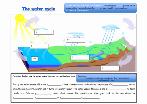Water Cycle Worksheet Pdf Awesome What is the Water Cycle by 88collinsl